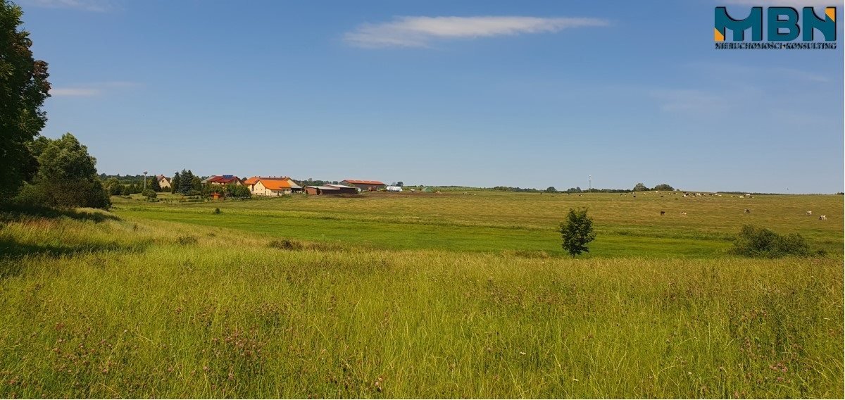 Działka rolna na sprzedaż Stręgielek, Stręgielek  3 035m2 Foto 4