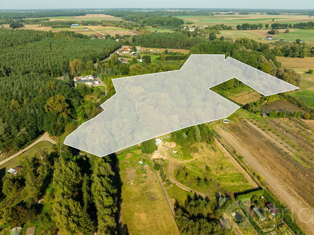 Działka budowlana na sprzedaż Stawno  29 200m2 Foto 6