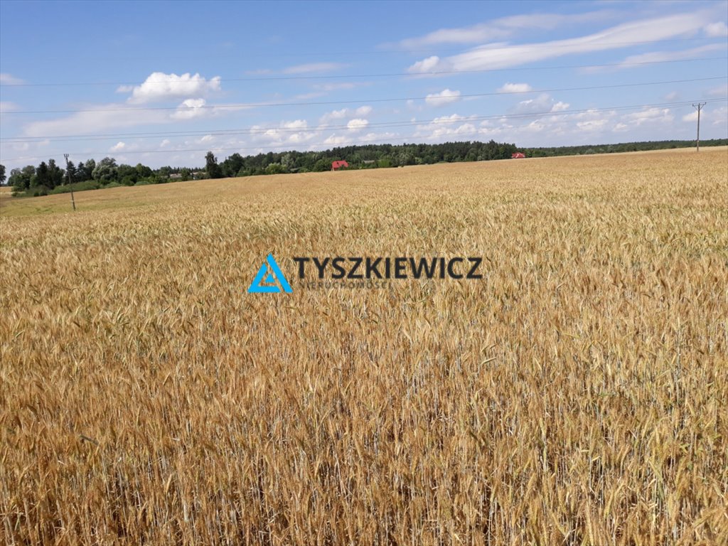 Działka przemysłowo-handlowa na sprzedaż Koniecwałd  105 064m2 Foto 1