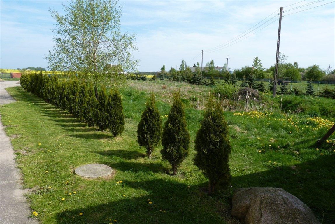 Lokal użytkowy na sprzedaż Czernin  968m2 Foto 3