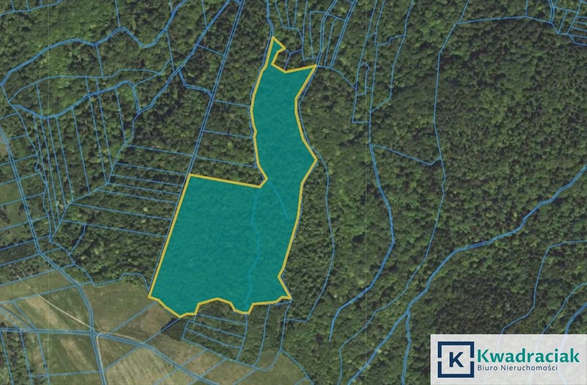 Las 9,61 ha w Magurskim Parku Narodowym z atrakcjami Stary Żmigród  96 100m2 Foto 1