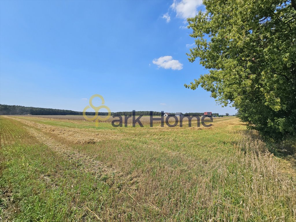 Działka budowlana na sprzedaż Kaleje  780m2 Foto 1