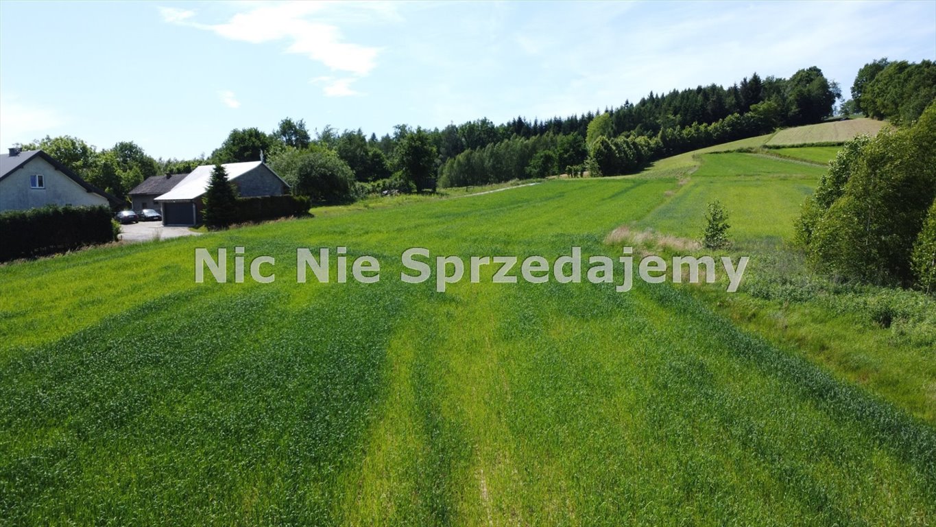 Działka budowlana na sprzedaż Gromnik, Siemiechów, Siemiechów, Siemiechów  1 500m2 Foto 3