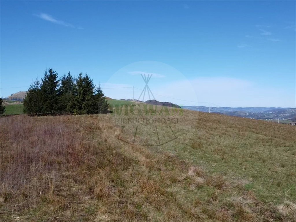 Działka budowlana na sprzedaż Klimkówka  1 100m2 Foto 5