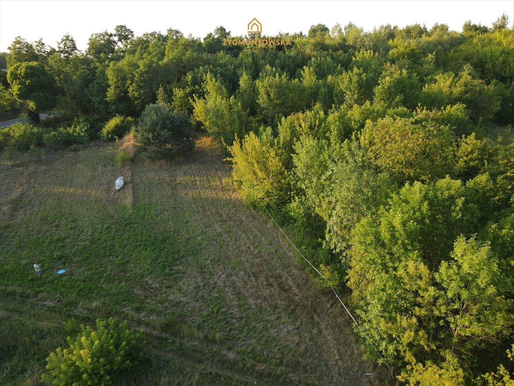 Działka rolna na sprzedaż Nowe Miasto nad Pilicą, Pobiedna, Pobiedna  2 543m2 Foto 8