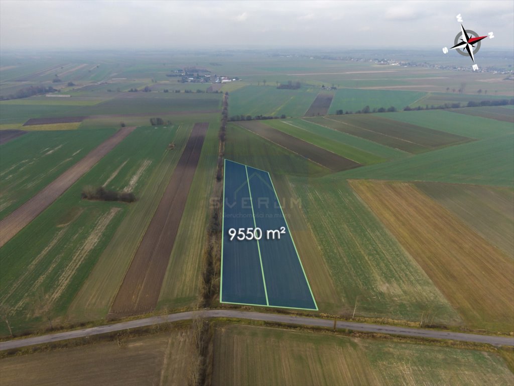 Działka rolna na sprzedaż Jedlno Pierwsze  9 550m2 Foto 3