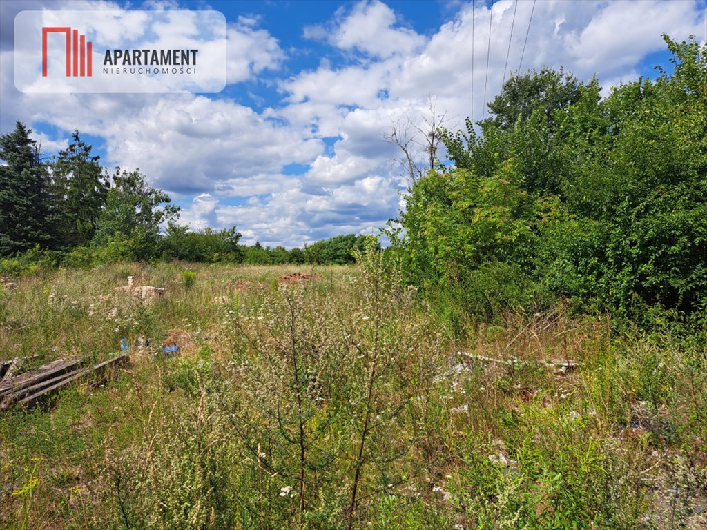 Działka budowlana na sprzedaż Wielowieś  3 001m2 Foto 6