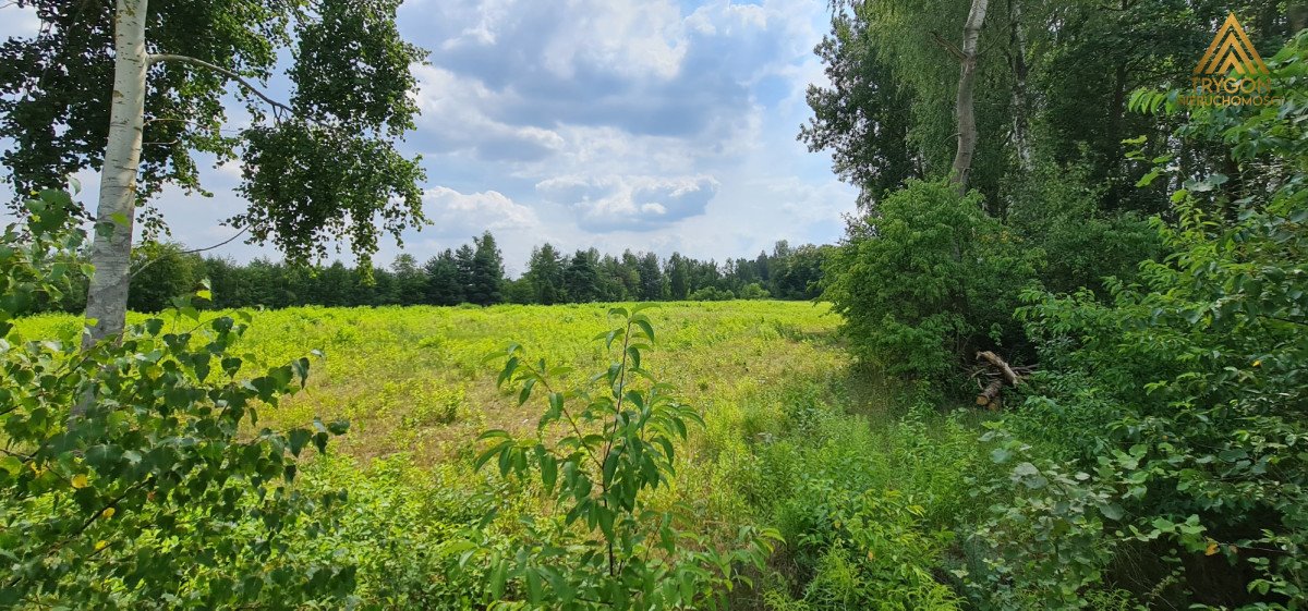 Działka rolna na sprzedaż Gąba  17 400m2 Foto 7