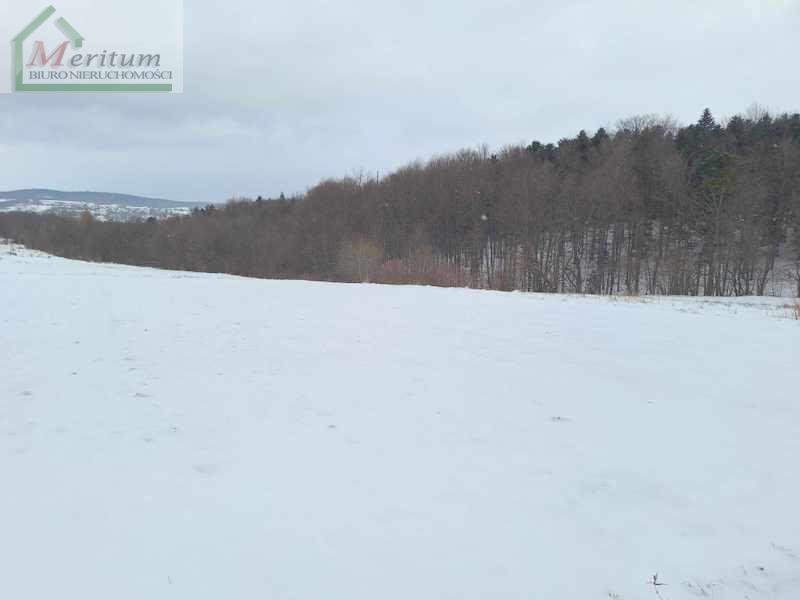 Działka budowlana na sprzedaż Łęki Dukielskie  5 100m2 Foto 1