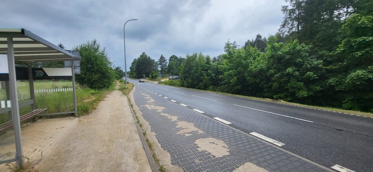 Działka budowlana na sprzedaż Bojano, Bojano, Wybickiego  2 391m2 Foto 6