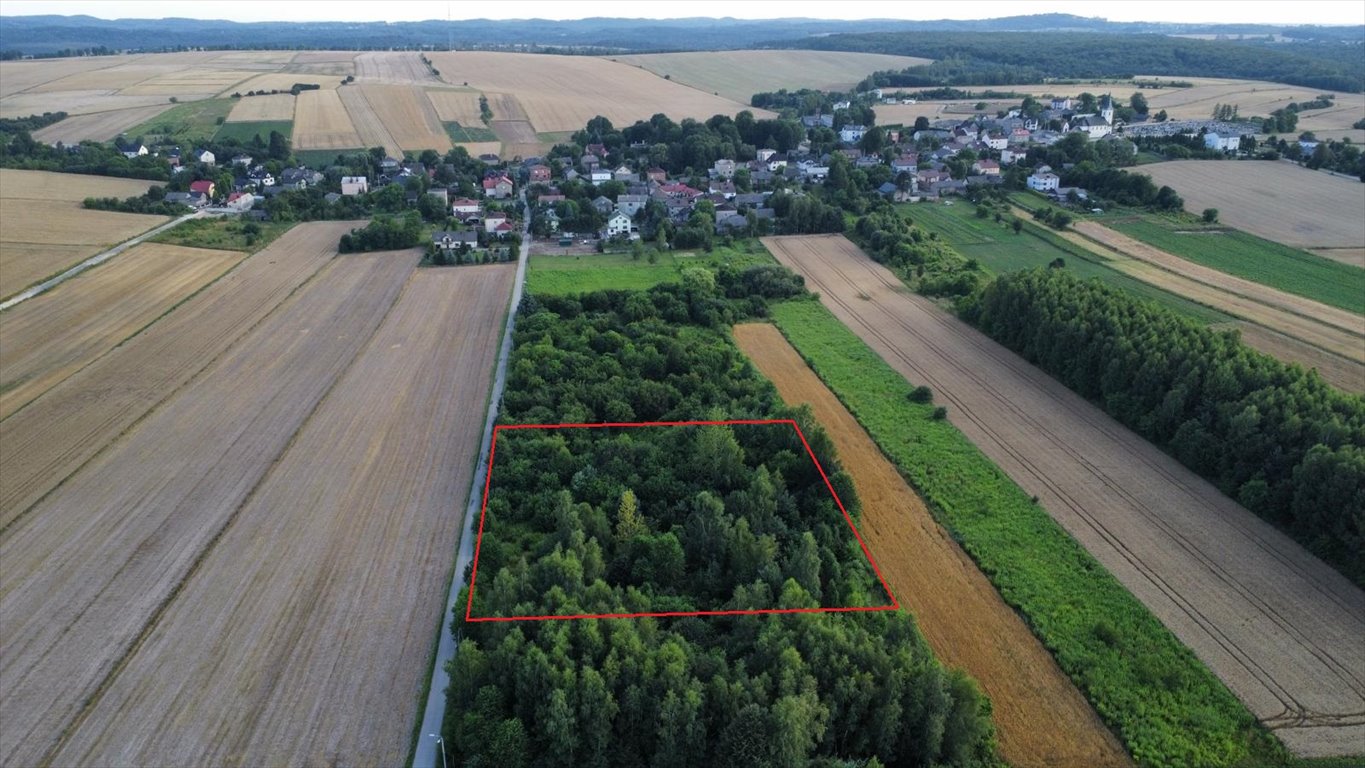 Działka budowlana na sprzedaż Giebło  3 828m2 Foto 4