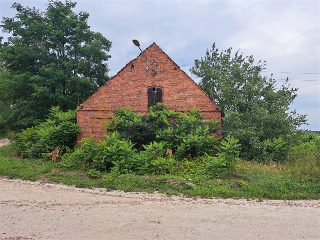 Działka budowlana na sprzedaż Żegrowo  1 460m2 Foto 6