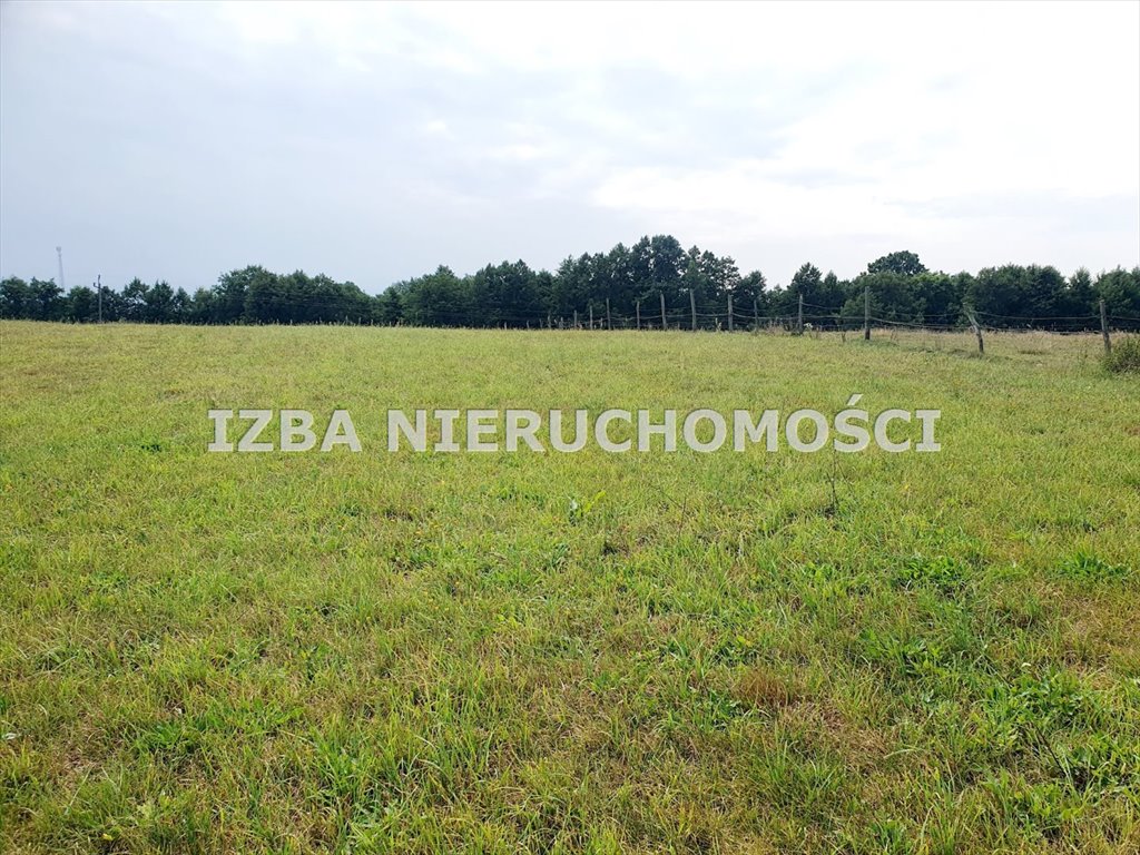 Działka rekreacyjna na sprzedaż Grabnik  3 400m2 Foto 7