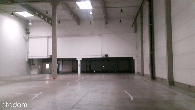 Lokal użytkowy na wynajem Łódź, Widzew 5 500m2 Foto 1 Lokal użytkowy na wynajem Łódź, Widzew 5 500m2 Foto 1