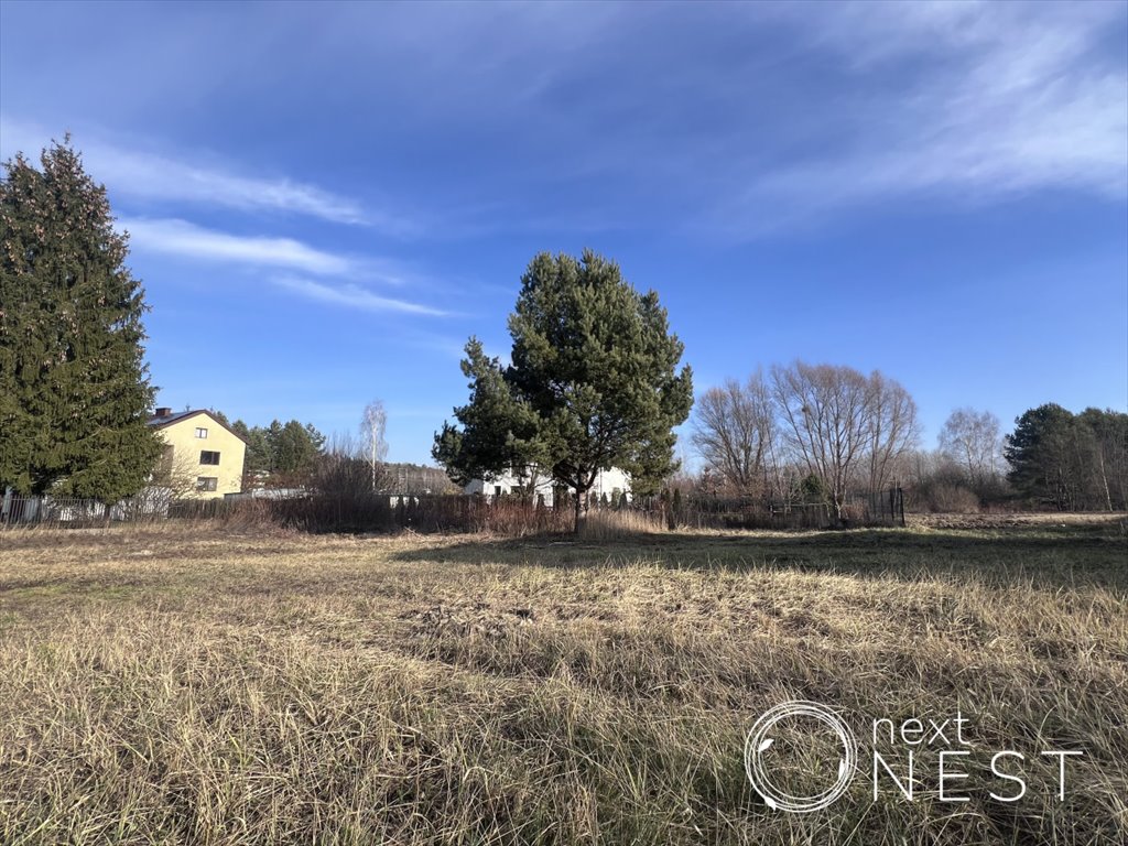 Działka budowlana na sprzedaż Borowina, Zaleśna  1 200m2 Foto 4