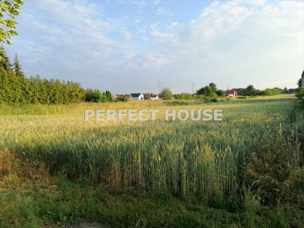 Działka inna na sprzedaż Skórzewo  926m2 Foto 1