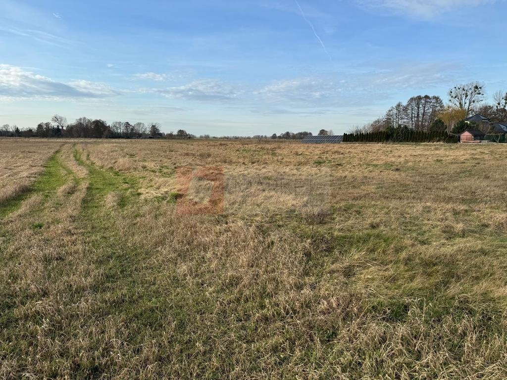 Działka budowlana na sprzedaż Lubczyna, Cisowa  1 078m2 Foto 4