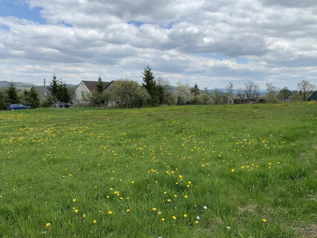 Działka budowlana na sprzedaż Nowa Ruda, Kołowa  1 800m2 Foto 15