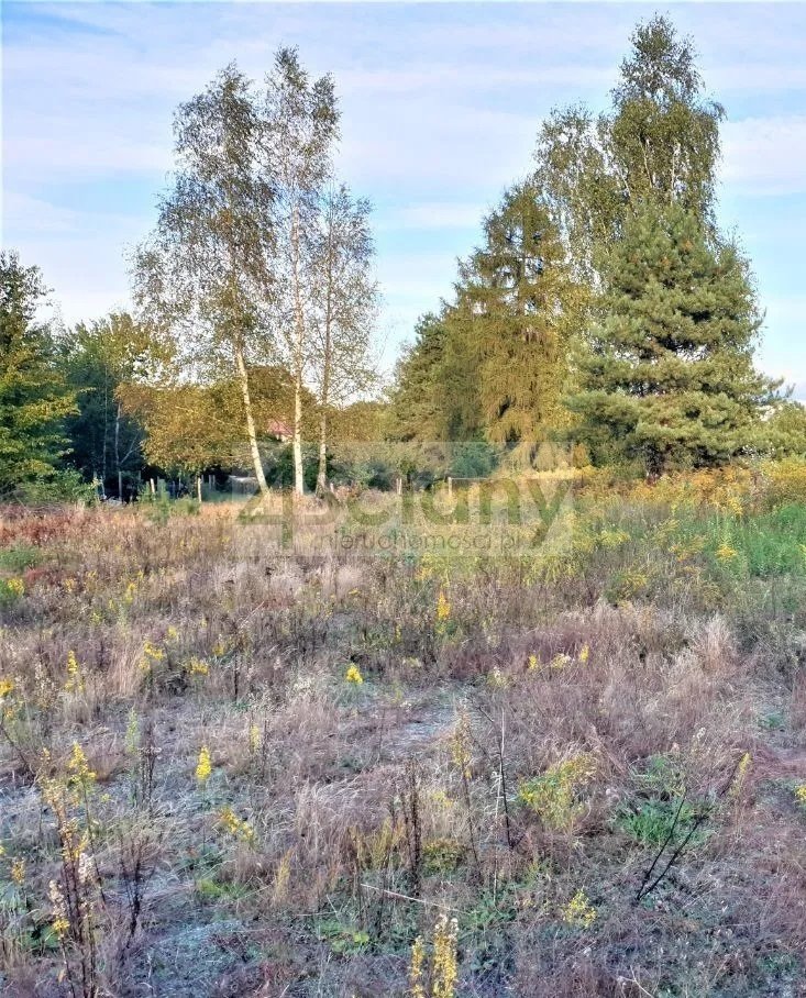 Działka budowlana 1064 m2 z WZ i wodą w Szczęsnym Szczęsne  1 604m2 Foto 1