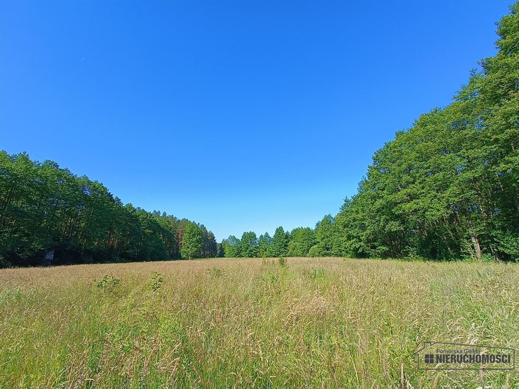 Działka budowlana na sprzedaż Gwda Wielka  11 900m2 Foto 2