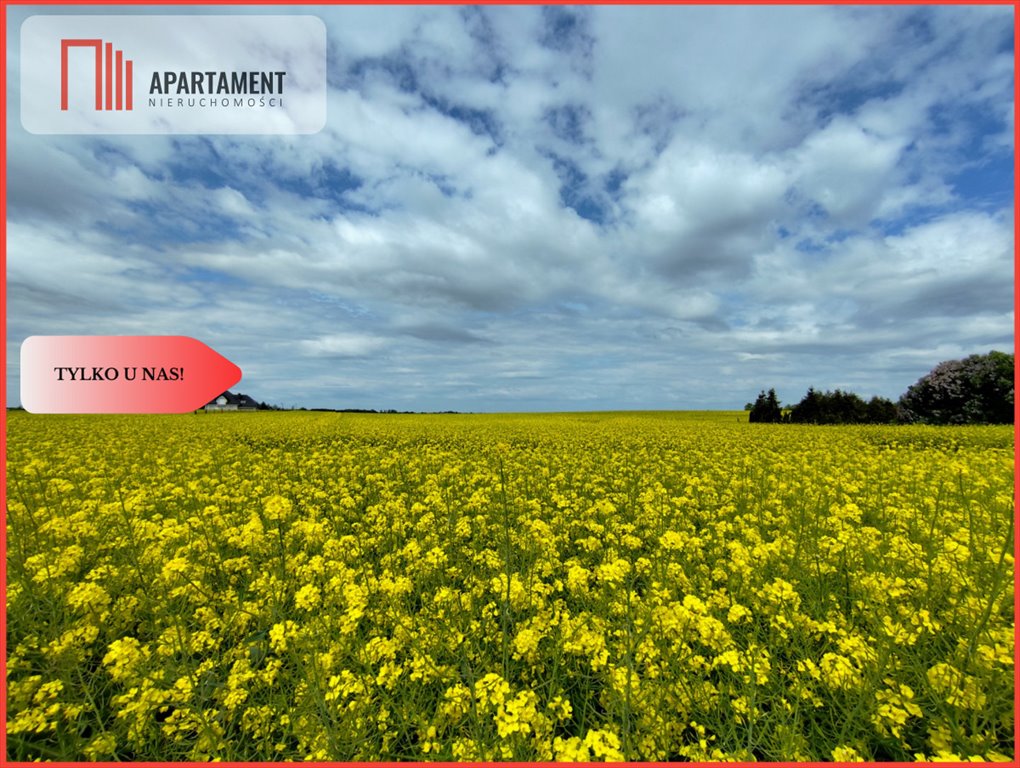 Działka budowlana 2500 m² w Buszkowie – spokój i media Buszkowo  2 500m2 Foto 1