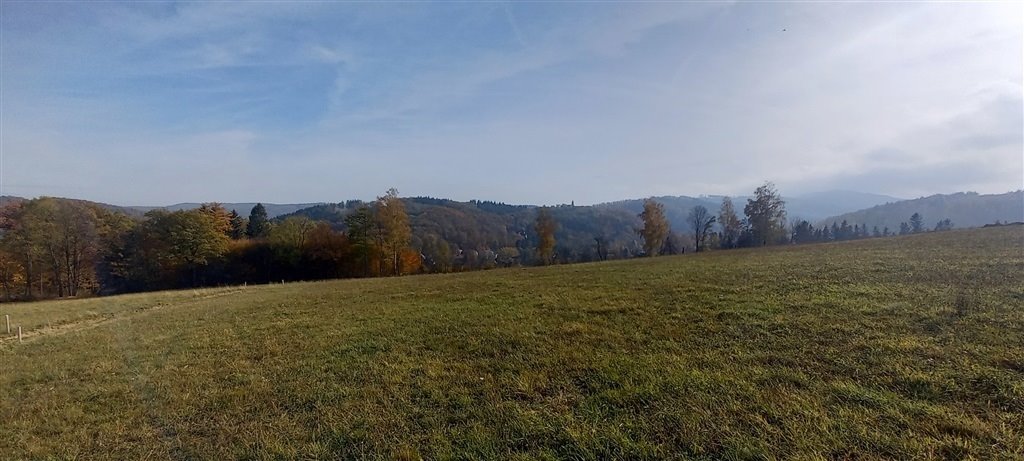 Działka budowlana w Zagórzu Śląskim, 3929 m², dostęp do drogi Zagórze Śląskie  3 929m2 Foto 1