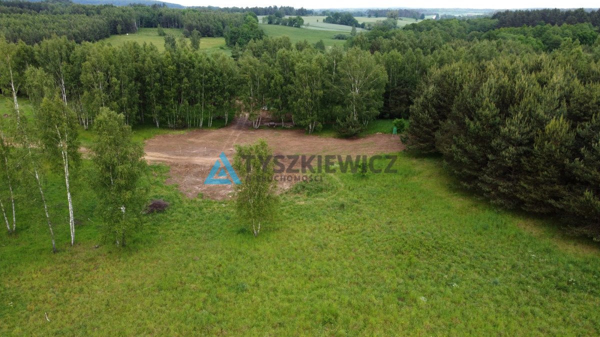 Działka budowlana na sprzedaż Graniczna Wieś  3 001m2 Foto 6