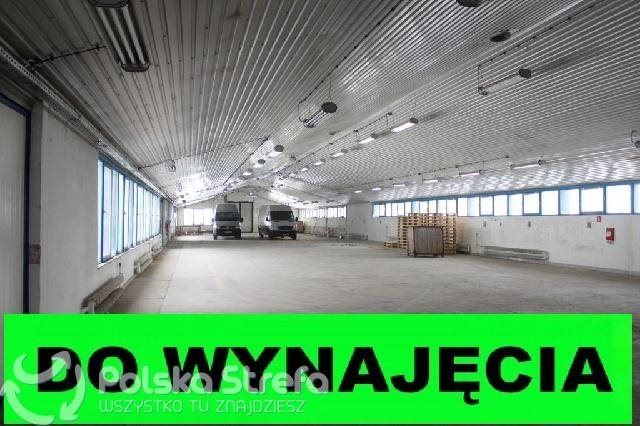 Lokal użytkowy na wynajem Hala.Magazyn 1456 m2, 1000 m2 OLSZTYN, OSTRÓDA 1 200m2 Foto 1 Lokal użytkowy na wynajem Hala.Magazyn 1456 m2, 1000 m2 OLSZTYN, OSTRÓDA 1 200m2 Foto 1