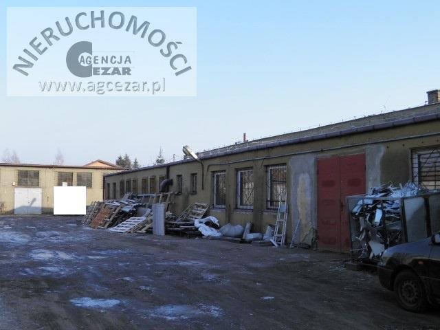 Lokal użytkowy na sprzedaż Mińsk Mazowiecki 1 330m2 Foto 1 Lokal użytkowy na sprzedaż Mińsk Mazowiecki 1 330m2 Foto 1