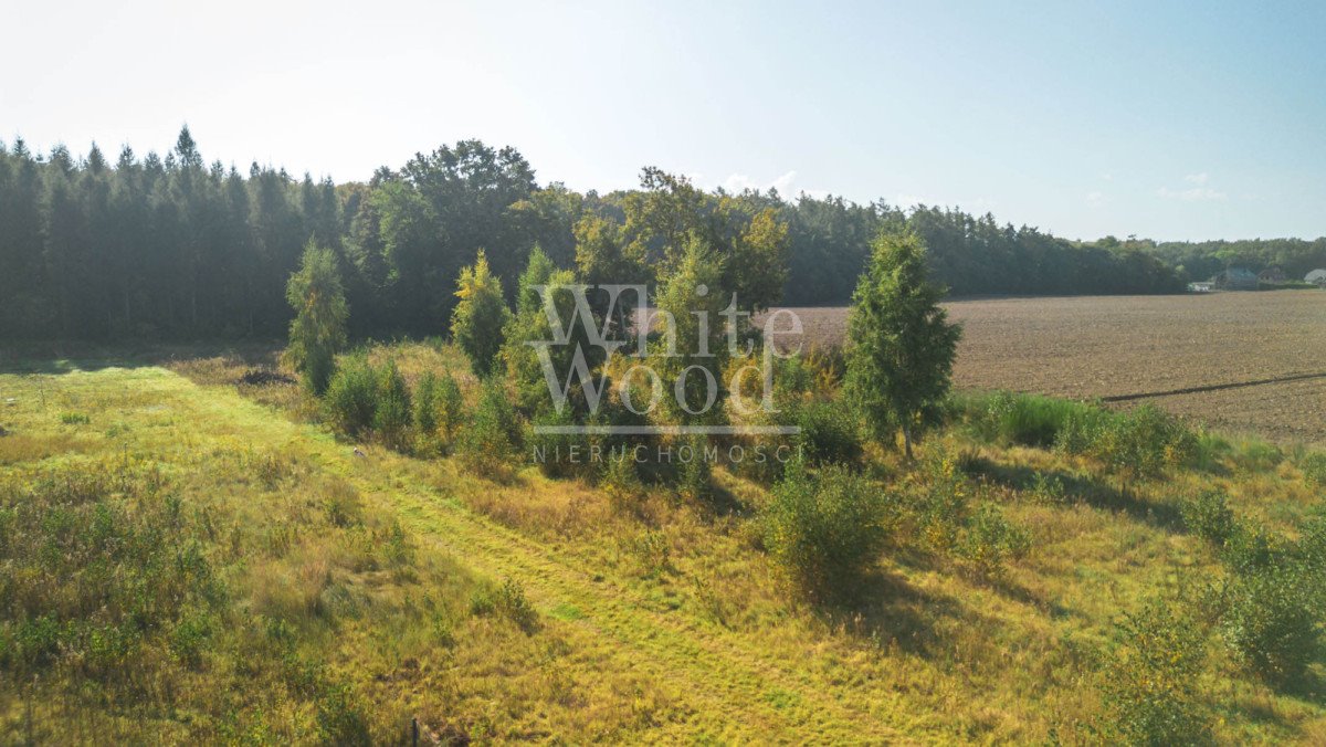 Działka budowlana na sprzedaż Połchowo  1 000m2 Foto 6