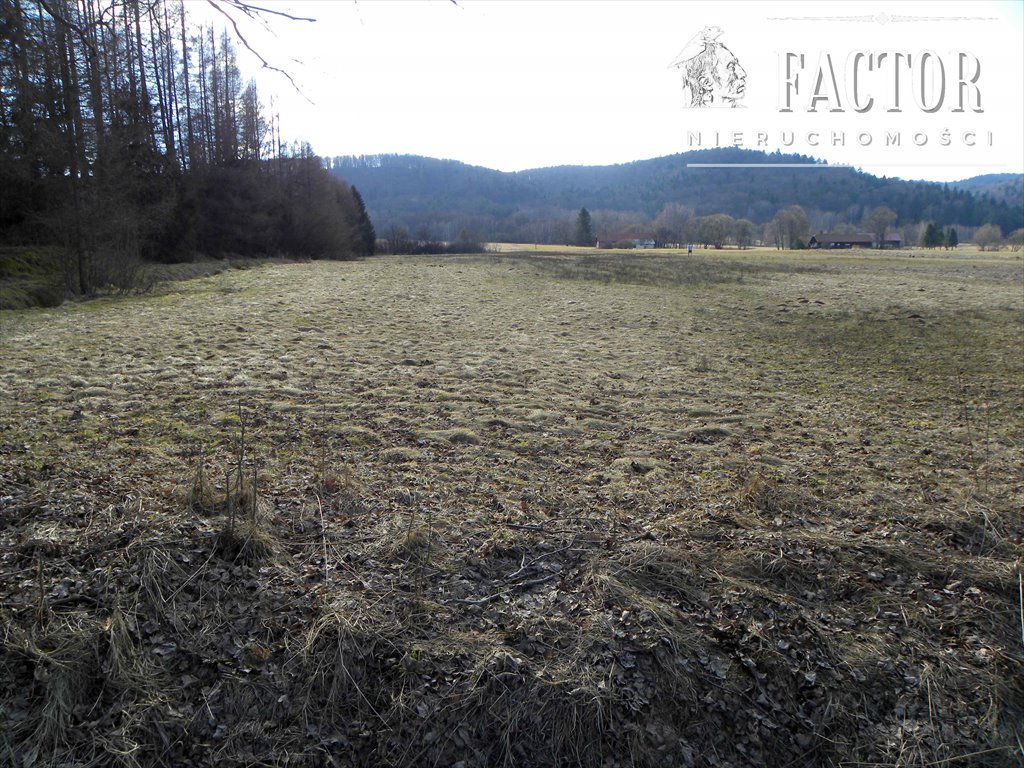 Działka budowlana 10 arów w Hańczowej – blisko rzeki i stoków Hańczowa  1 000m2 Foto 1