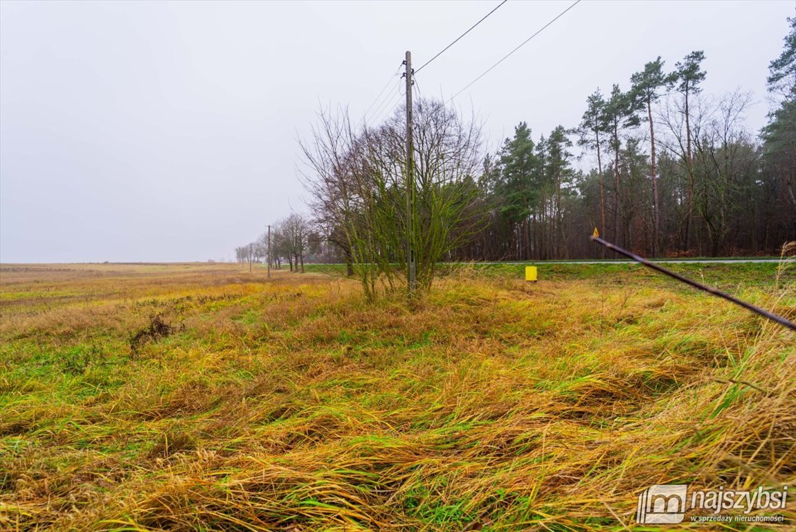 Działka inna na sprzedaż Nowogard, obrzeża  8 137m2 Foto 16