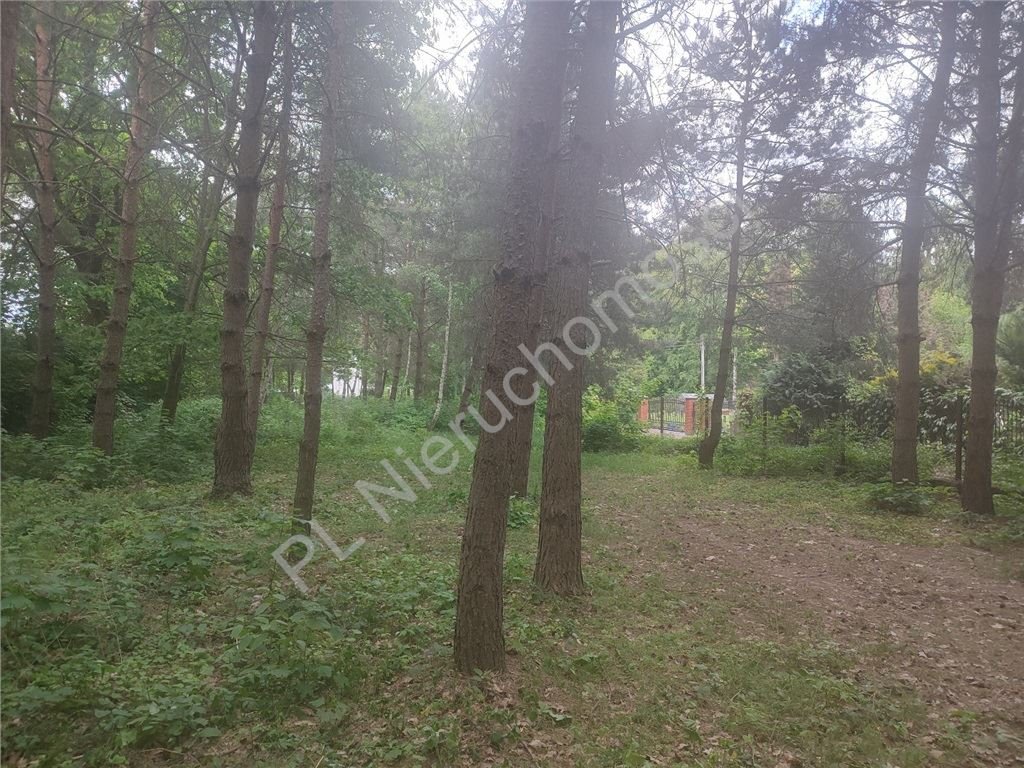Działka 2440 m² z mediami i planem w Komorowie. Komorów  2 440m2 Foto 1