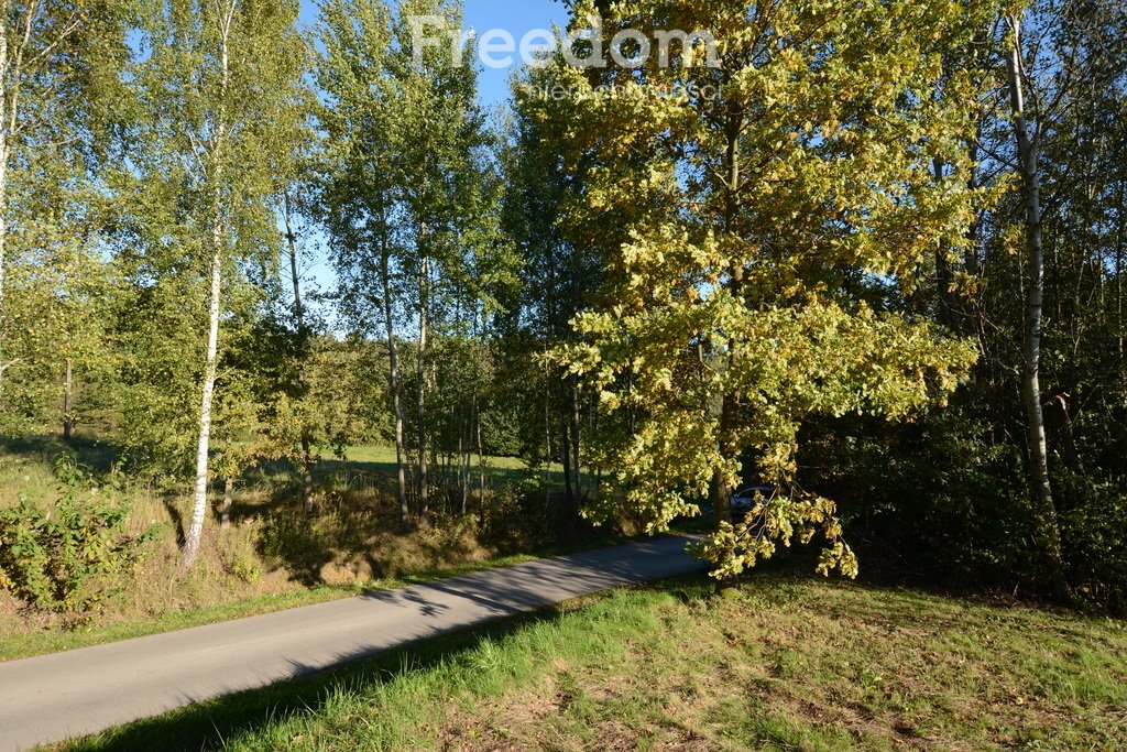 Działka budowlana na sprzedaż Barwałd Średni  1 110m2 Foto 5