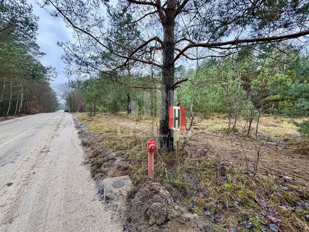 Działka budowlana na sprzedaż Osowo Leśne  3 064m2 Foto 8