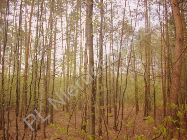 Działka rolna na sprzedaż Grzegorzewice 27 500m2 Foto 1 Działka rolna na sprzedaż Grzegorzewice 27 500m2 Foto 1