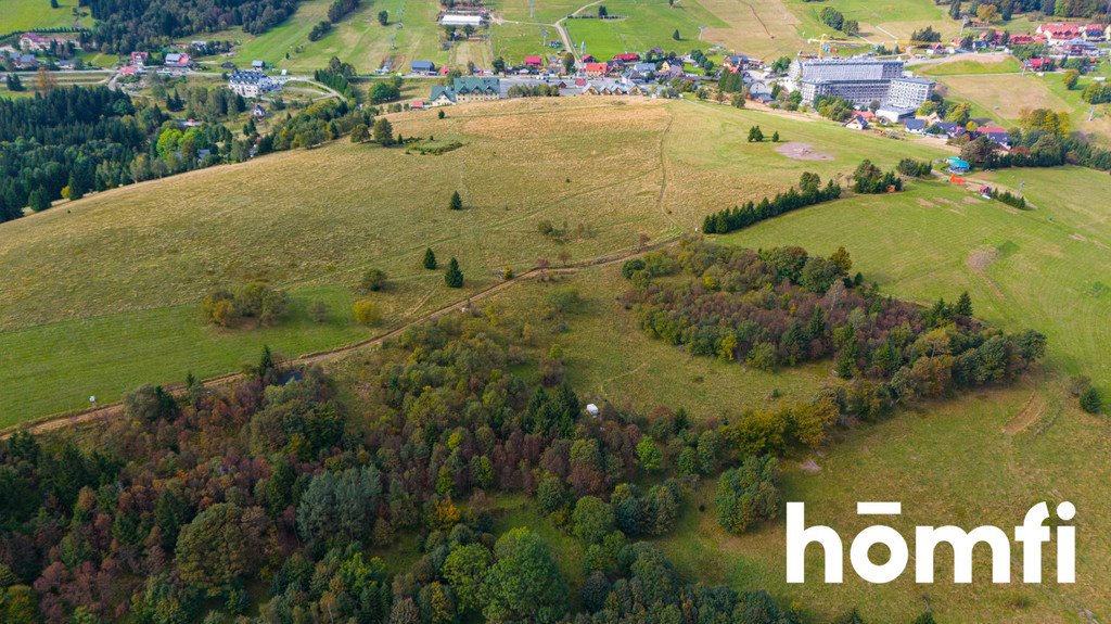 Działka budowlana na sprzedaż Duszniki-Zdrój, Zieleniec, Zieleniec  4 300m2 Foto 6