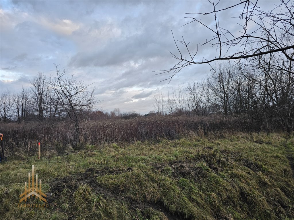 Działka rolna na sprzedaż Stare Lipiny, Kwitnąca  12 254m2 Foto 2