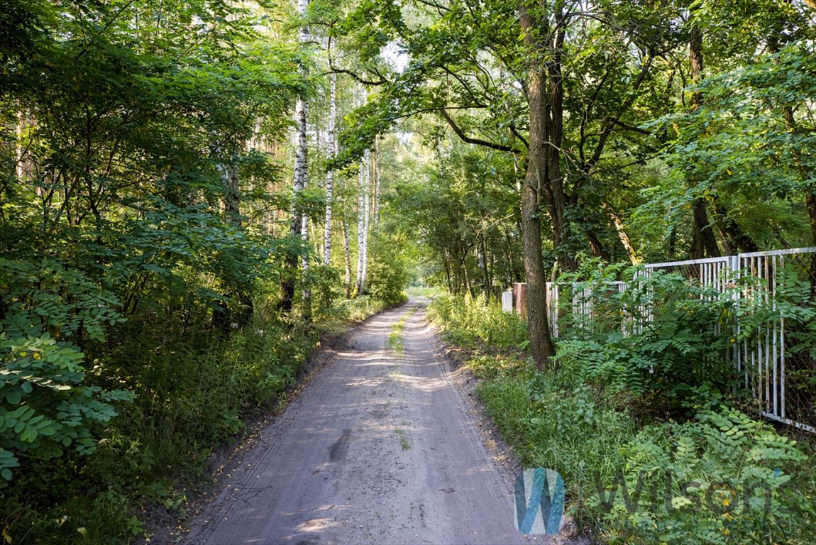 Działka budowlana na sprzedaż Wiktorów, Leśna  1 037m2 Foto 6