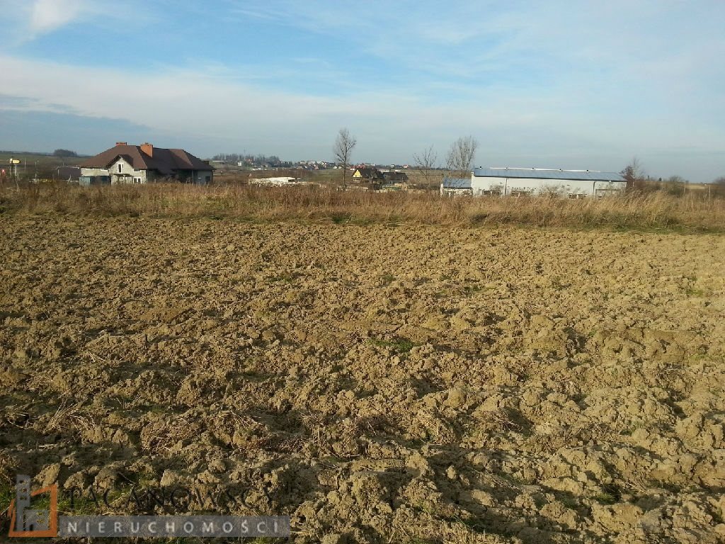Działka budowlana na sprzedaż Cianowice Duże 10 700m2 Foto 1 Działka budowlana na sprzedaż Cianowice Duże 10 700m2 Foto 1