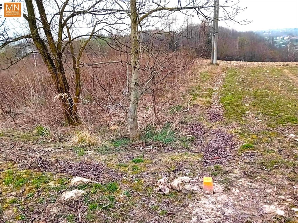 Zdjęcie 7