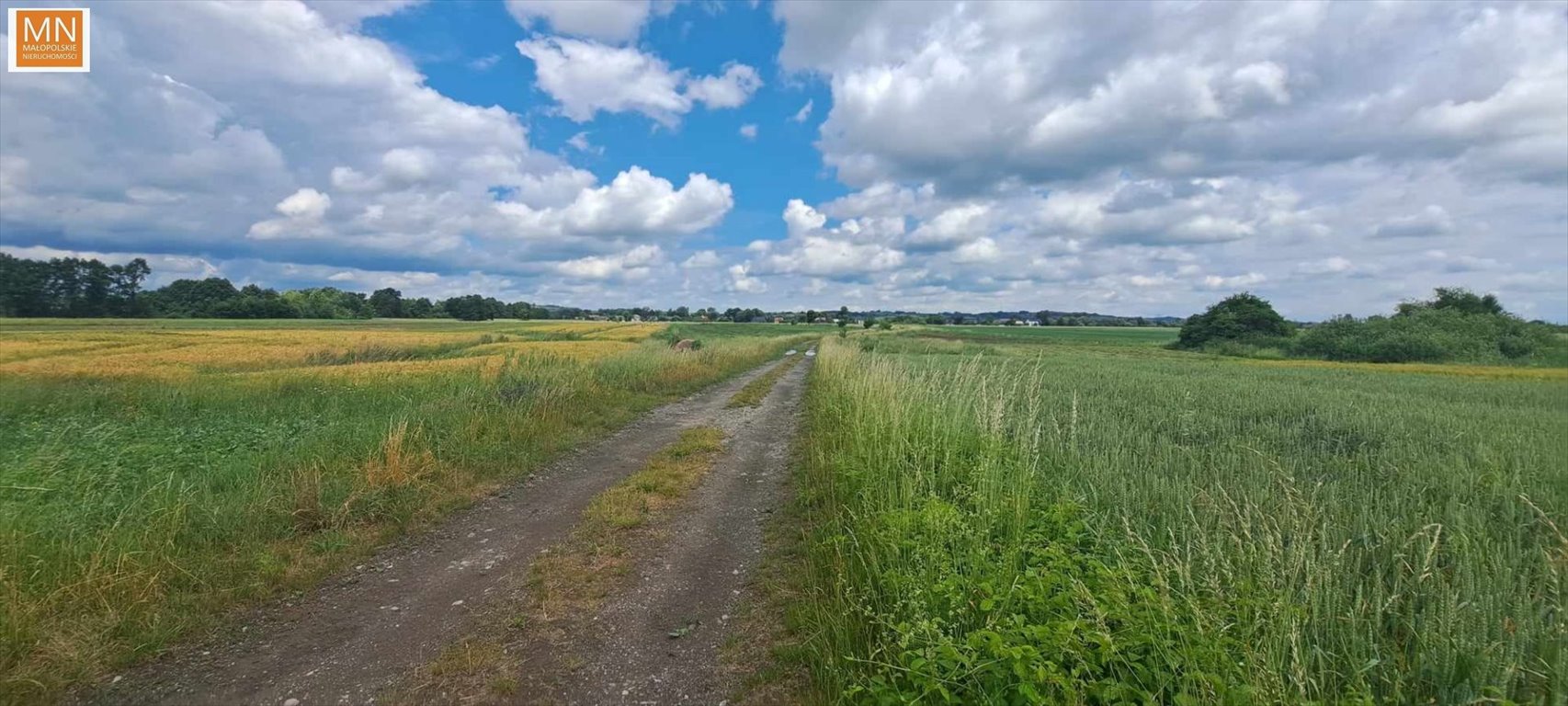 Działka rekreacyjna na sprzedaż Grobla  2 700m2 Foto 7