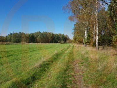 Działka rolna na sprzedaż Prostki  7 230m2 Foto 5