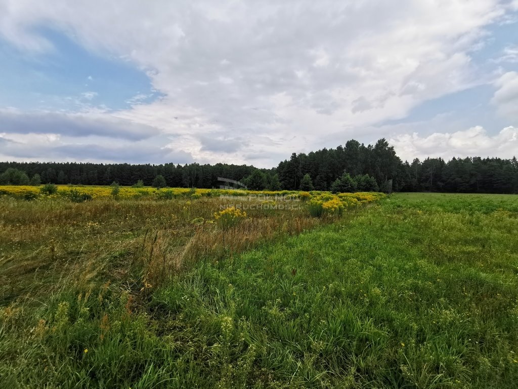 Działka rolna na sprzedaż Królowe Stojło  8 500m2 Foto 1