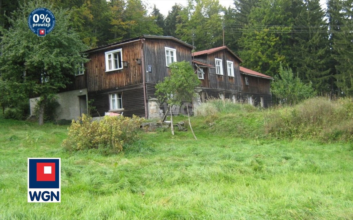 Działka 2,97 ha pod inwestycję uzdrowiskową z domem Szczytna, Szczytna, Szczytna  29 665m2 Foto 1