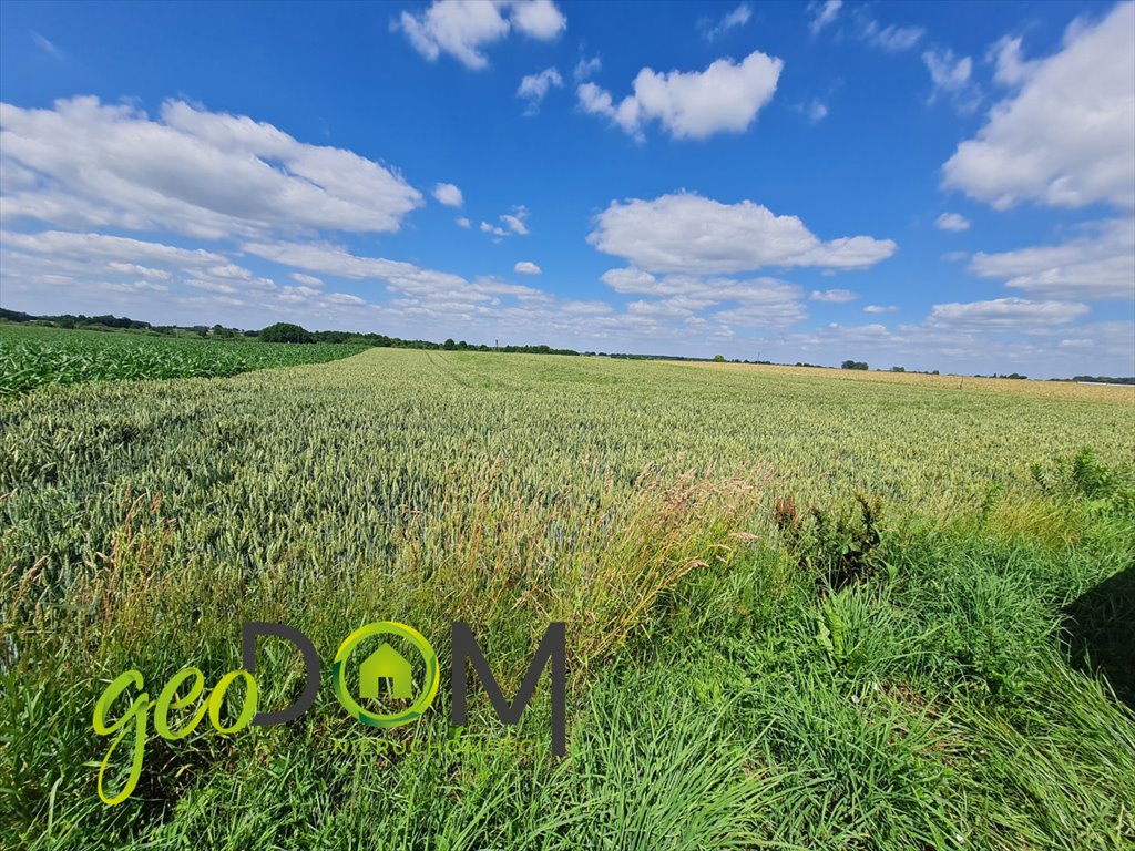 Działka budowlana na sprzedaż Garbów  2 300m2 Foto 12