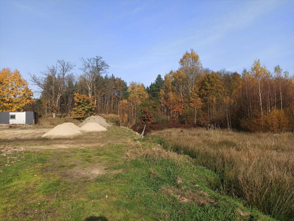 Działka budowlana na sprzedaż Leśniewo, Pucka  2 369m2 Foto 5