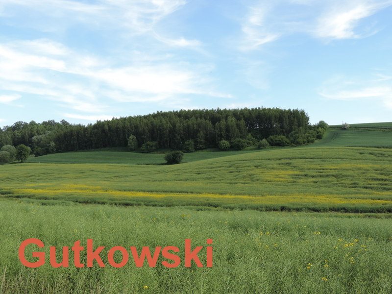 Działka rolna na sprzedaż Lekarty, Gmina Nowe Miasto Lub., Lekarty  3 053m2 Foto 8