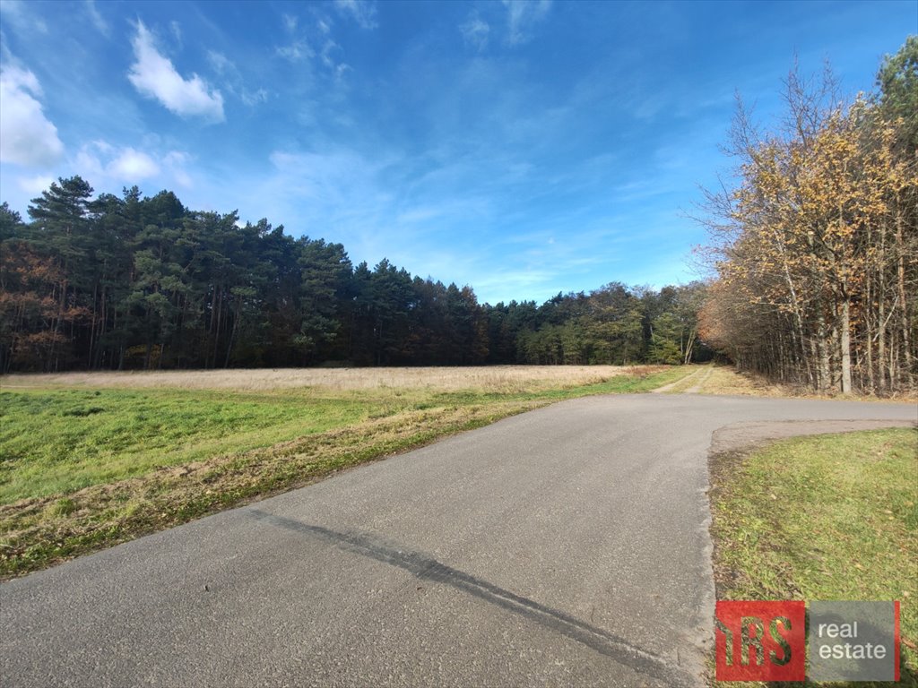 Działka w lesie z warunkami zabudowy i dostępem do mediów Dziadowice  6 294m2 Foto 1