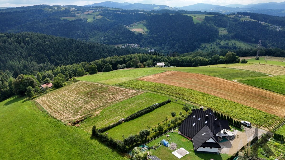 Działka budowlana na sprzedaż Chełmiec  1 200m2 Foto 10